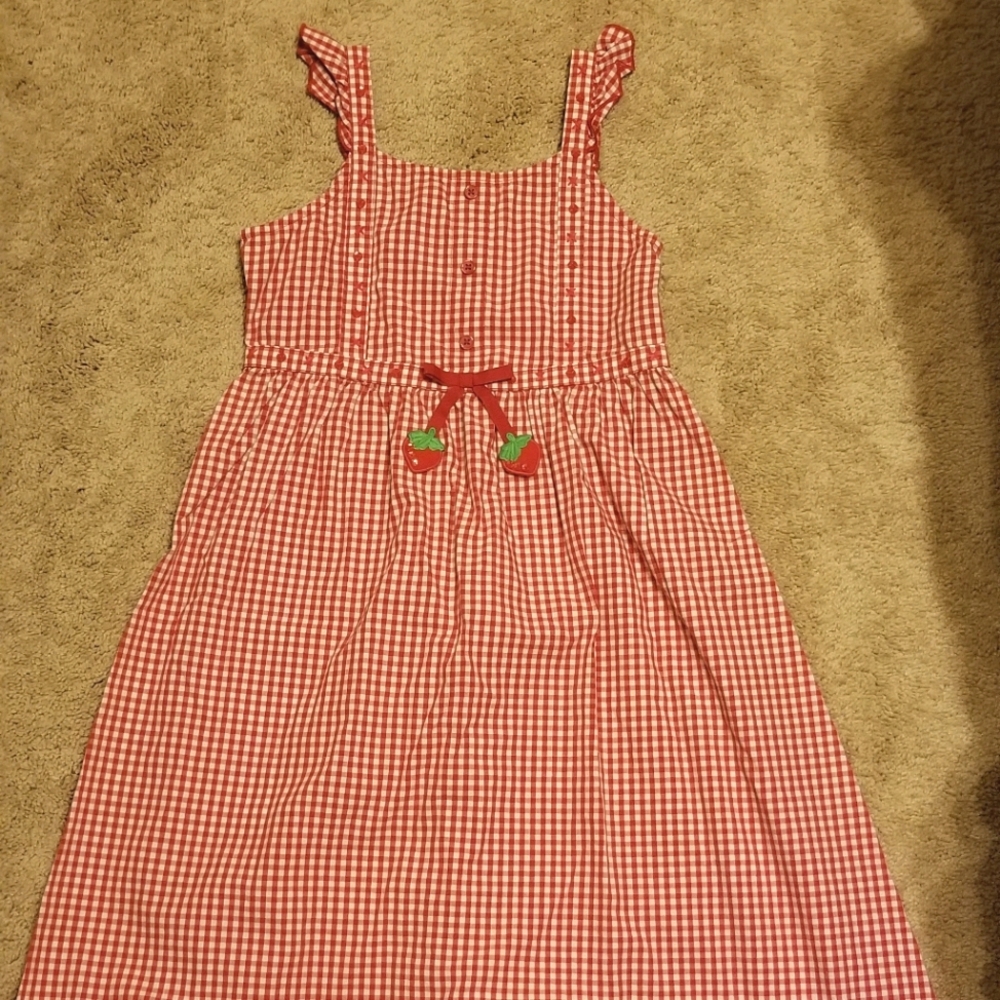 Gymboree Strawberry Farm size 9 dress